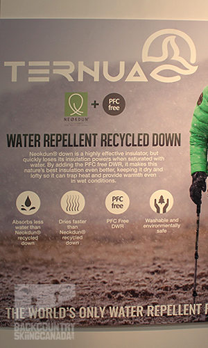 Ternua