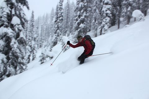 Whitewater Backcountry Skiing Acidophilus