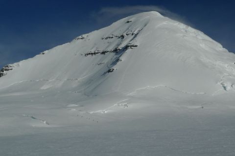 Backcountry skiing Mount Columbia Icefields Parkway