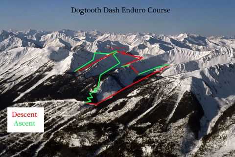 Dogtooth Dash Skimo Race Enduro Course