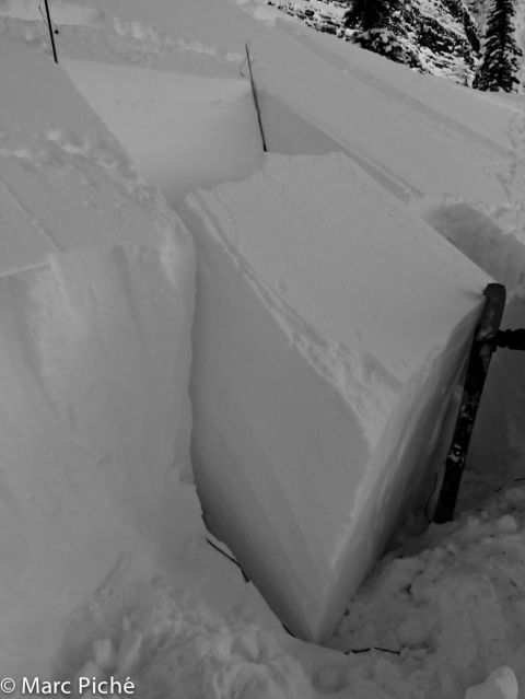 avalanche test fail