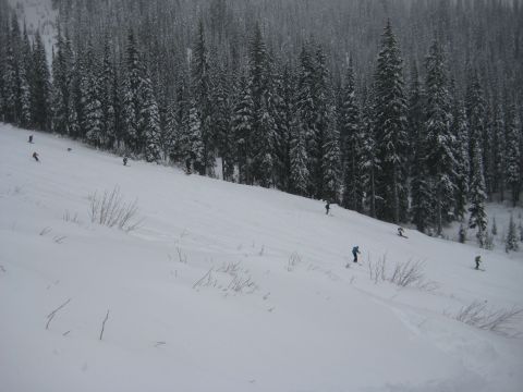 whitewater ski reosrt backcountry skiing canada