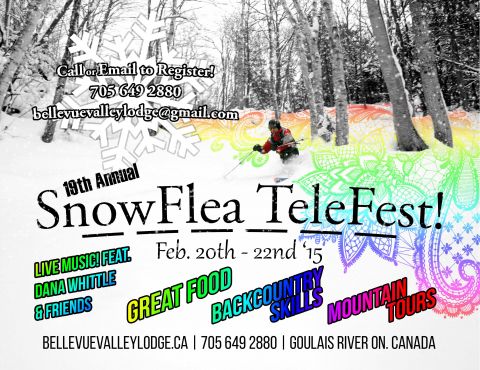 19th Annual Snowflea Telefest!