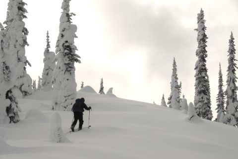 Wonderland on Evening Ridge