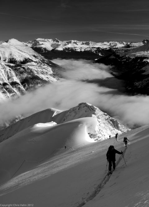 Skiing up to Mt.Field