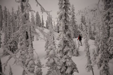 Jen skinning up Ripple Mtn, Kootenay Pass