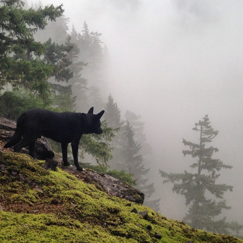 emily haggar cheakamus