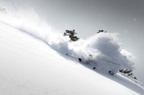 Powder Skiing