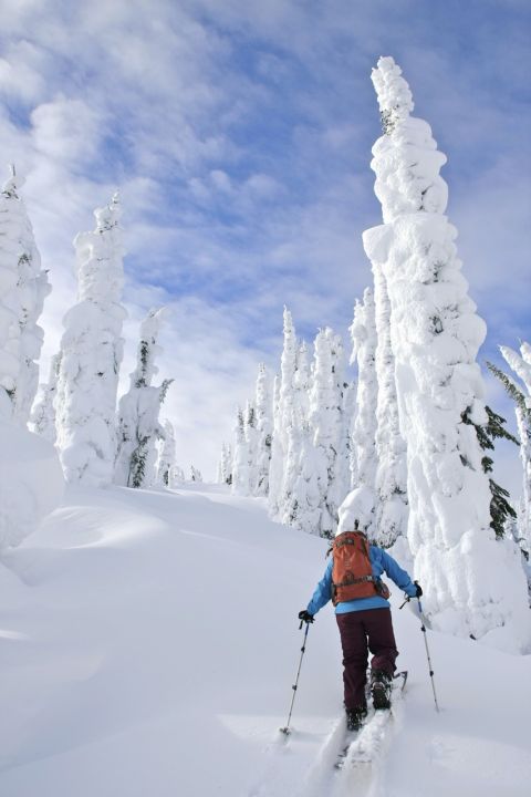 Evening Ridge