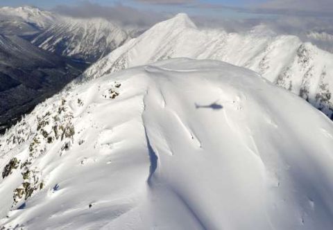backcountry skiing avalanche photo