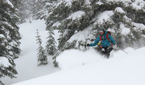 Whitewater Nelson BC white Queen Backcountry Skiing