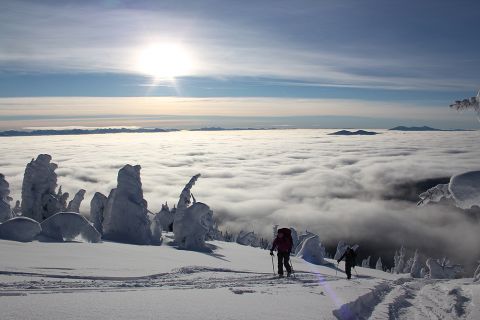 Bonnington Traverse Grassy Hut