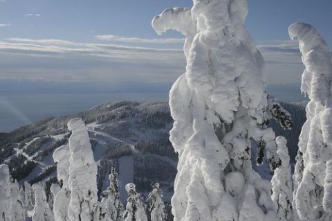 cypress backcountry skiing death