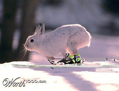 backcountry skiing easter weekend