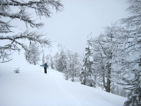 backcountry-skiing-whitewater-5-mile