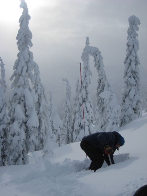 Kootenay Pass Backcountry Skiing Pit