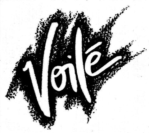 Voile Brand Identity