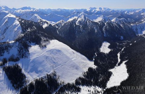 grey creek pass avalanche