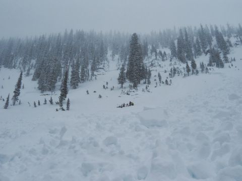 Kootenay Pass avalanche