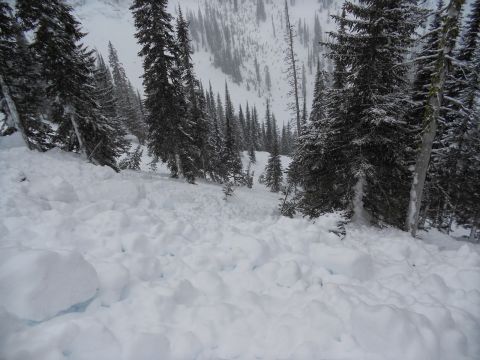 Kootenay Pass avalanche