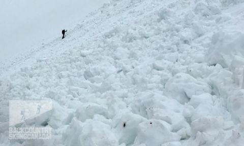 backcountry skiing avalanche