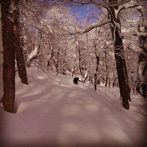 Ski Japan