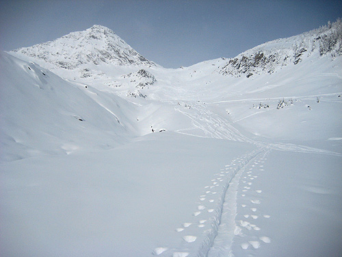 8812 Bowl Rogers Pass Backcountry Skiing