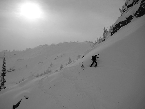 8812 Bowl Rogers Pass Backcountry Skiing