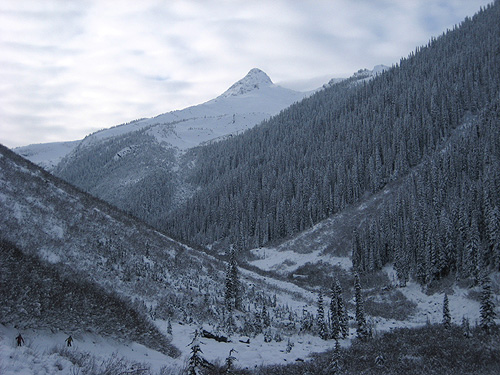 8812 Bowl Rogers Pass Backcountry Skiing