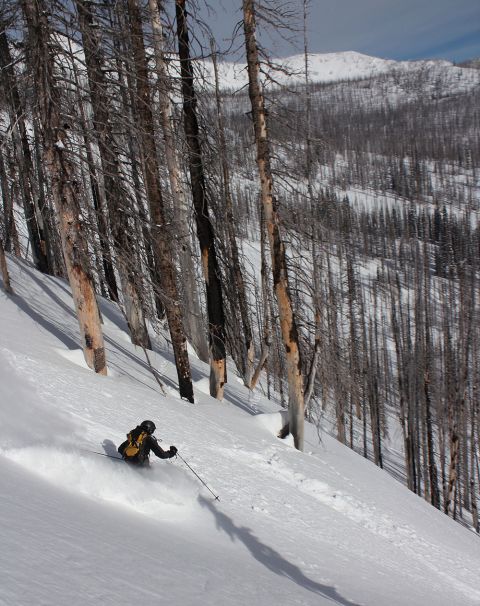 Whitewater backcountry skiing canada 1