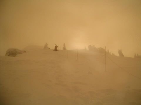 Revelstoke Hiking 