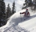 Happy Holidays - the POW is back!