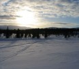 COMP - Skiing in North Finland mountains