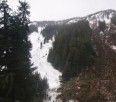 The birth of new slide paths -- Pics of Avalanche Damage near Lemon Creek BC