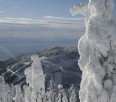 Backcountry Skier dies at Cypress Mnt.