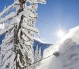 World's Top 10 Snowiest Ski Resorts