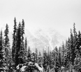 Finding a Little Snow at Cerise Creek