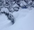 Plenty of snow at Rogers pass