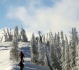 A Day at the Kootenay Pass