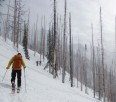State of the Backcountry - What you should know.