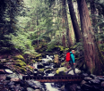 Spring Trail Conditions Around Whistler