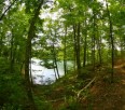 Smoky Mountain Single Track