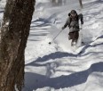 one-legged backcountry skier Vasu Sojitra