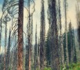 Visit to Woodbury Cabin, Kokanee Glacier Park