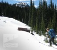 Getting high on Toad Mountain