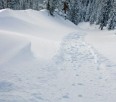 Christmas Avalanche Conditions Report - Video