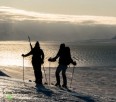 Polar bears and faceshots in Spitsbergen