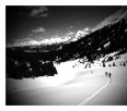 Cooke City Ski Touring--on the edge of Yellowstone Park