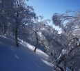 Planning a Trip to Japan for some pow?