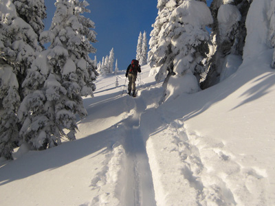backcountry skiing canada photos